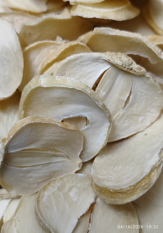 موسیر کوهی خشک پلاکی درجه یک